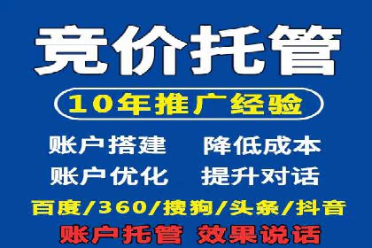电商成功案例：竞价推广助力品牌崛起